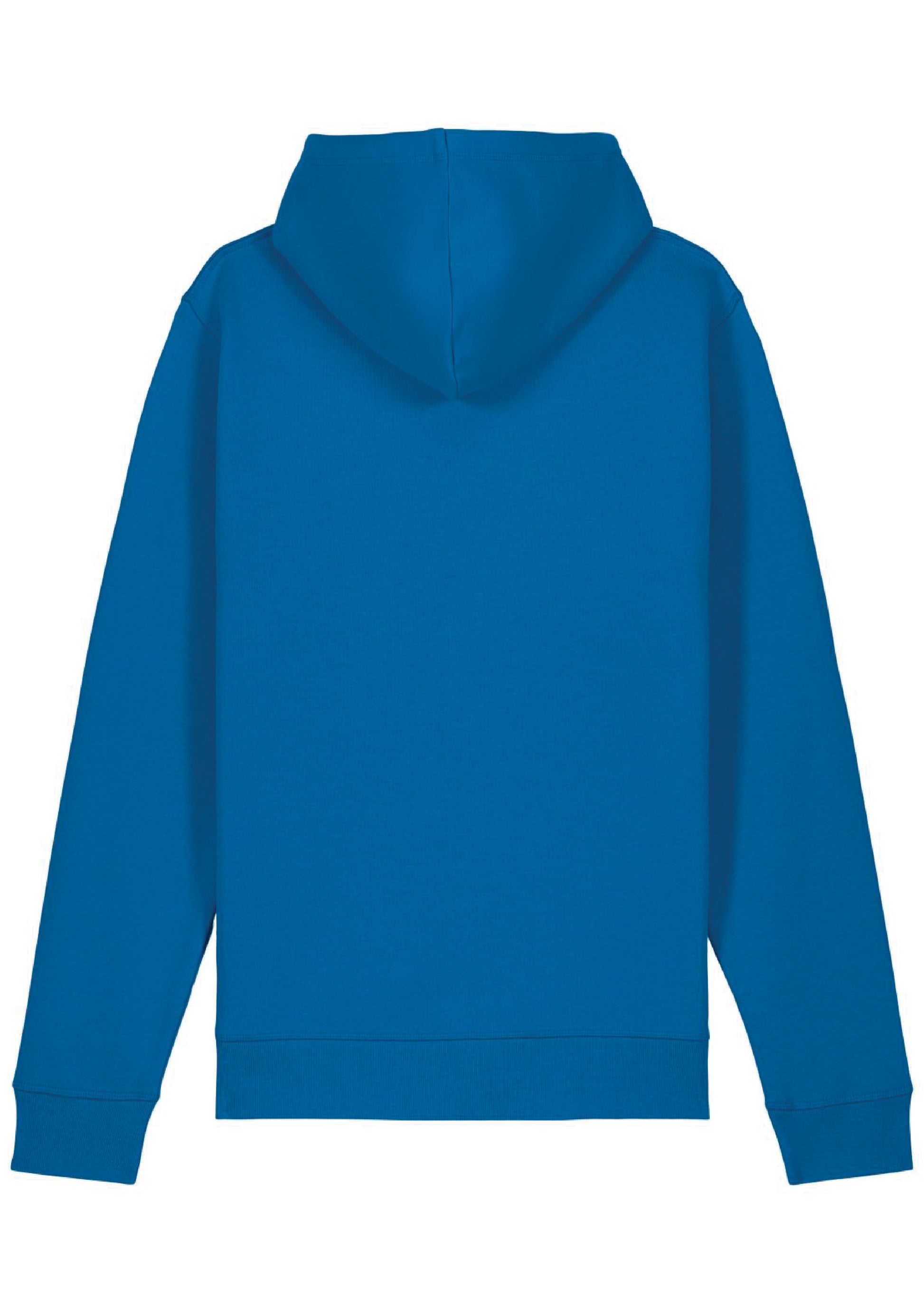 Blue hoodie back panel.